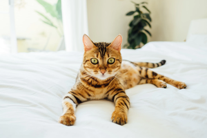 Begone Procrastination! — Top 3 Tips On Almost Guaranteeing You Won’t Procrastinate