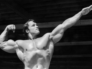 Let’s All Learn This Lesson From Arnold Schwarzenegger