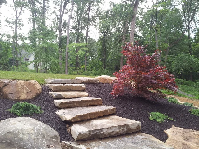 waitkus design steps.jpg