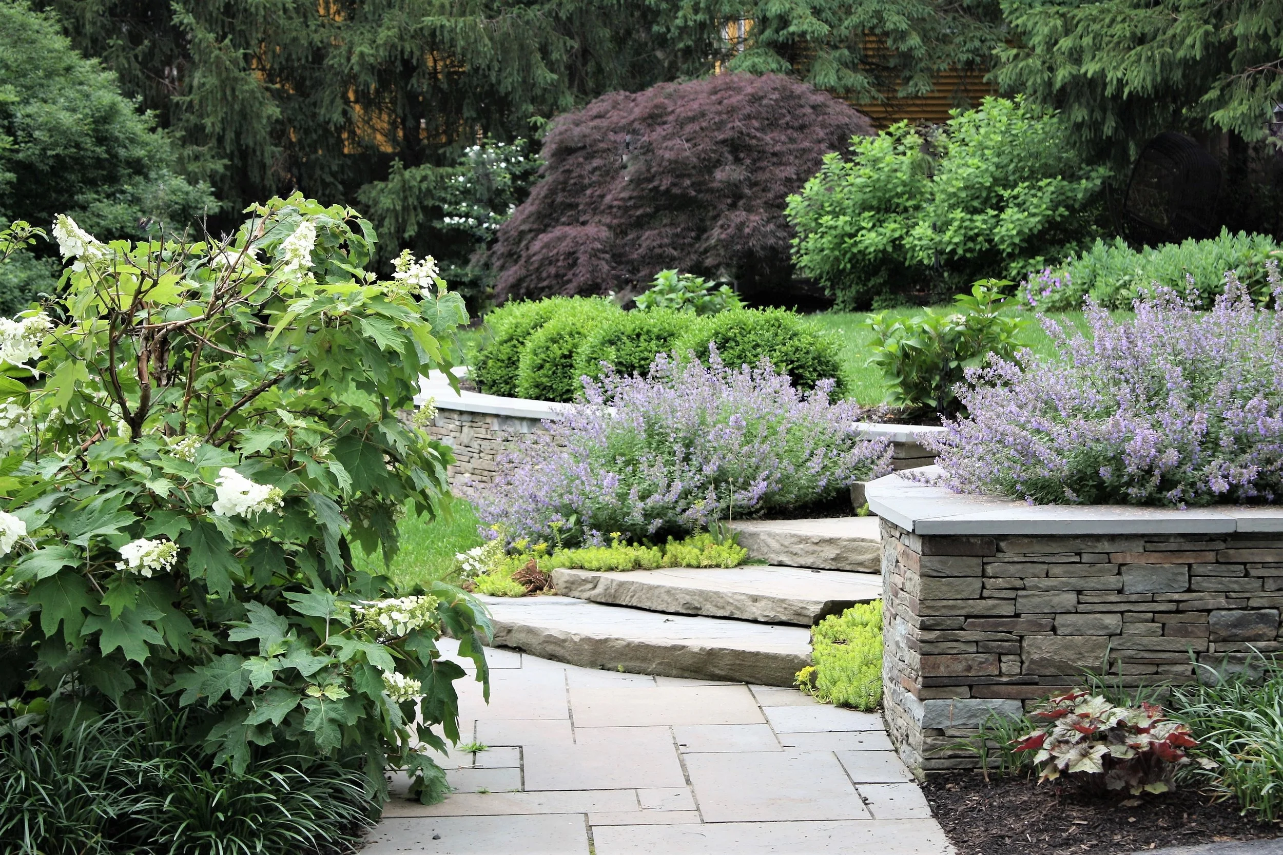 waitkus design planting and walls.JPG