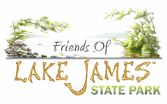 Sneak Peak For FLJSP Members