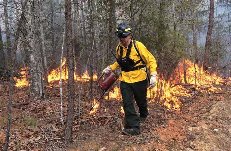 Paddy's Creek Area Feels the Burn