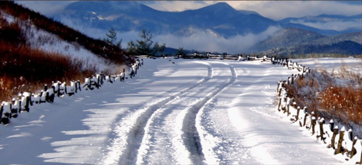 snow-tips.jpg