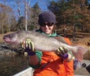 Walleye