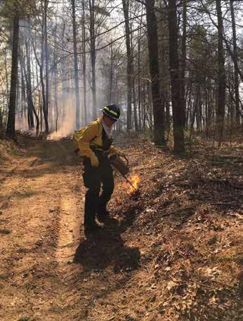 Successful Fire Season for Park