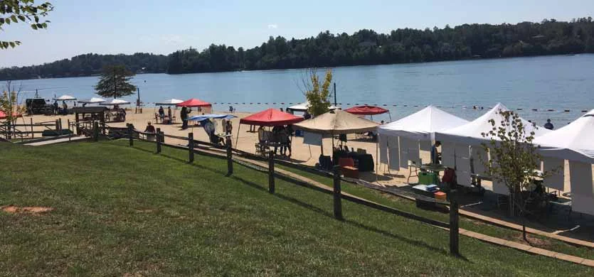 A Tale of Two Festivals