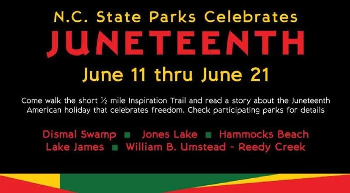 Get Ready for Juneteenth!