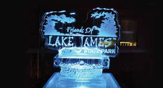 Friends Group Ice Festival Success