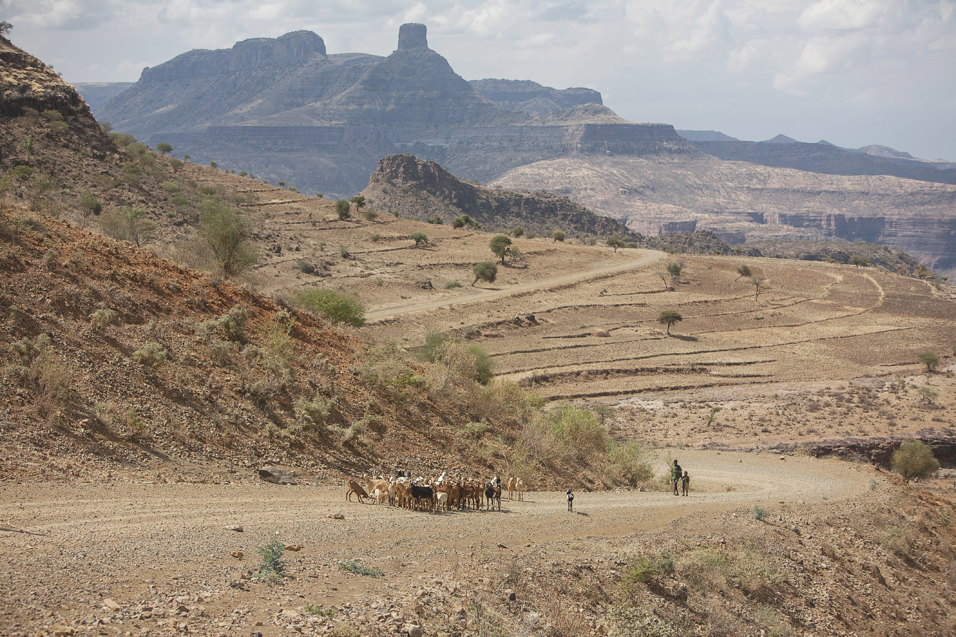 landschappen-108.jpg