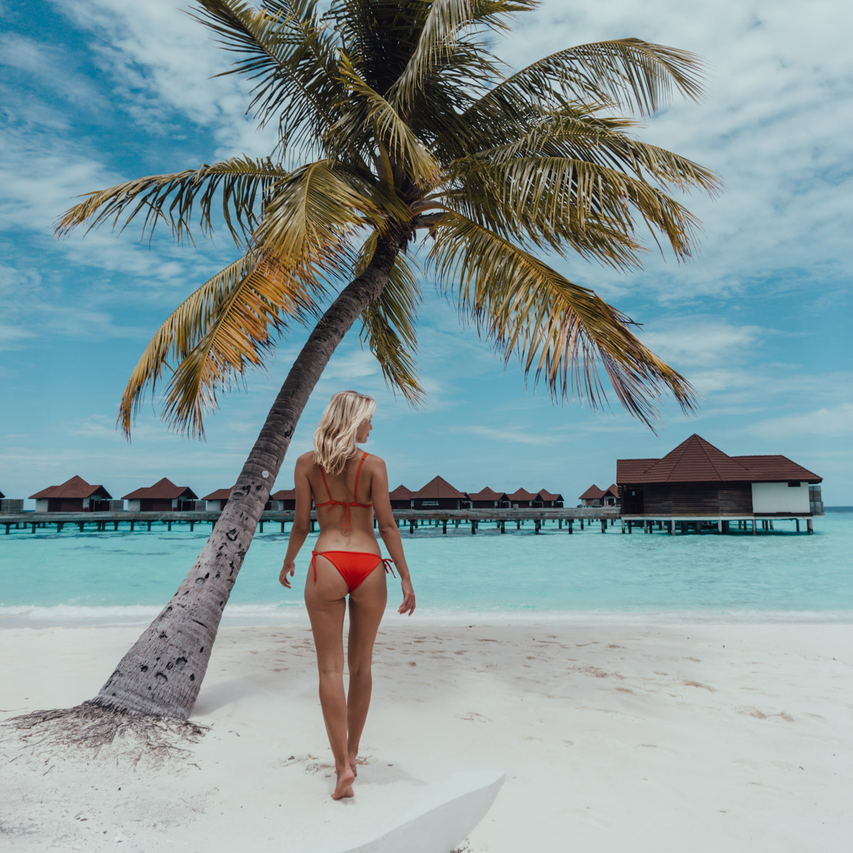 Tropical Desktop Cover Image.jpg