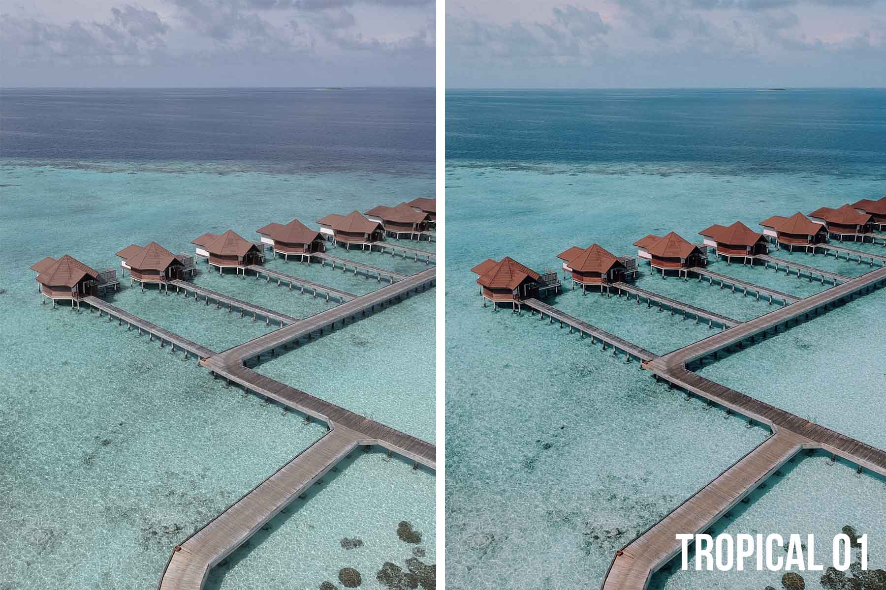 T01.jpg