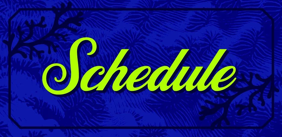 ProfAddy2025 Twitch Graphics_Type - Schedule.jpg