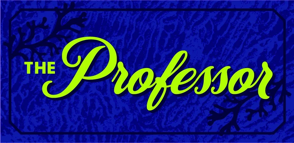 ProfAddy2025 Twitch Graphics_The Professor.jpg