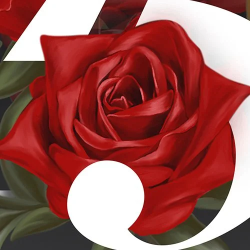 Roses 3.jpg
