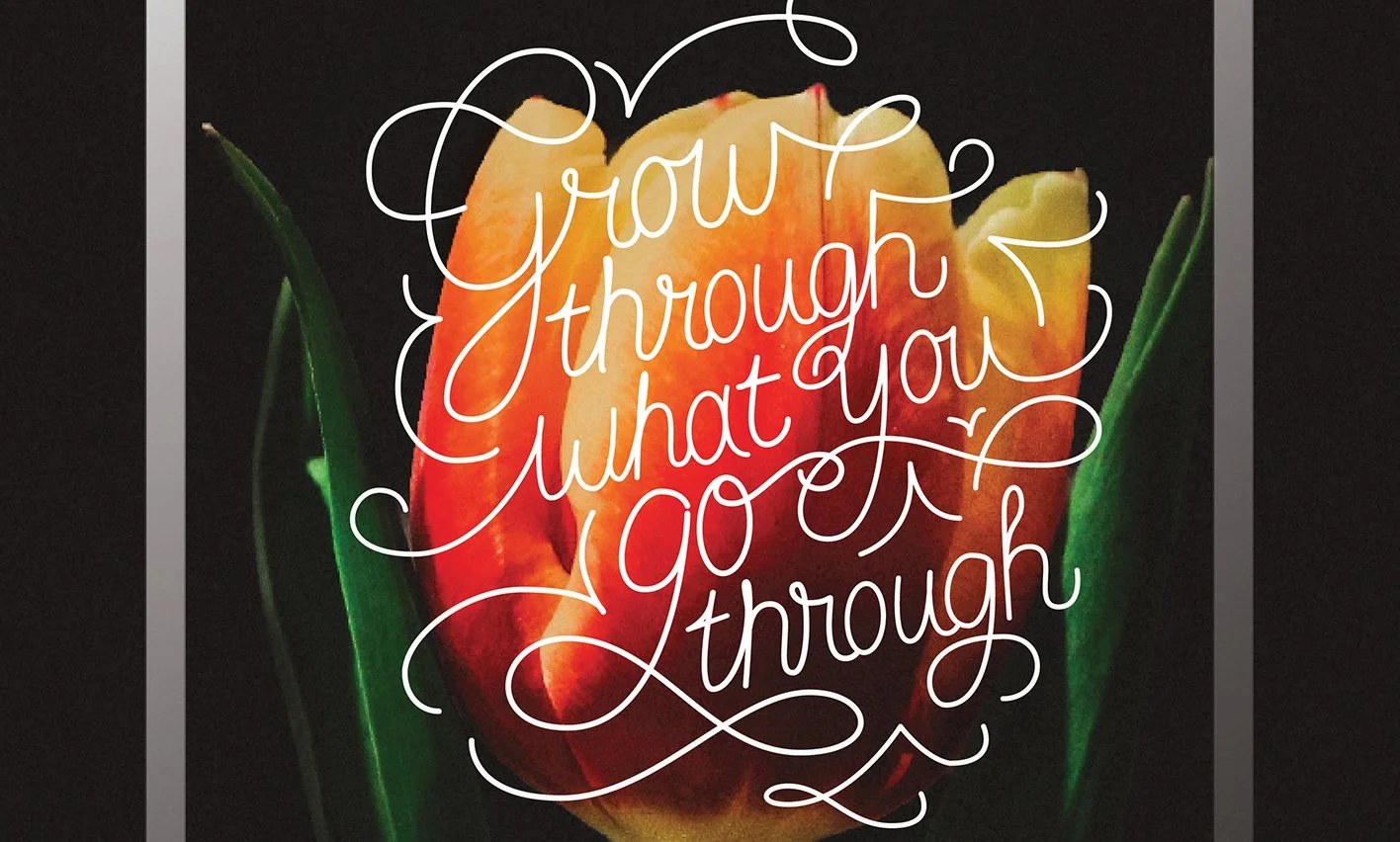 Gallery_GrowThrough 4.jpg