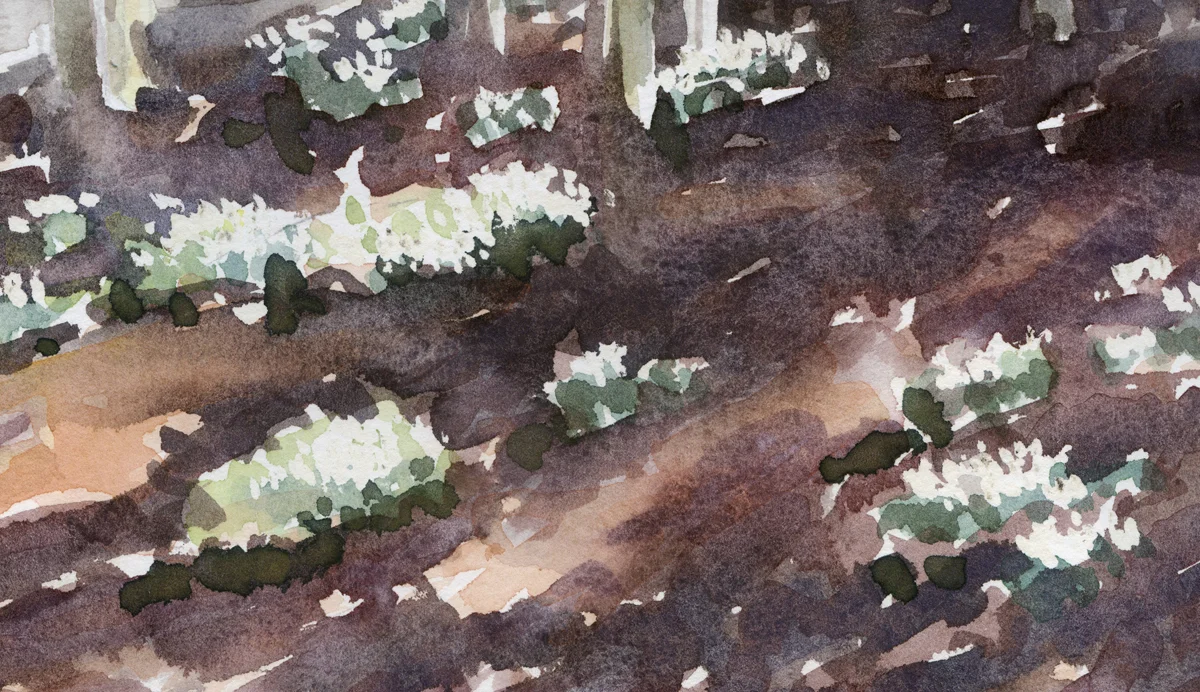 silver birch web 2.jpg