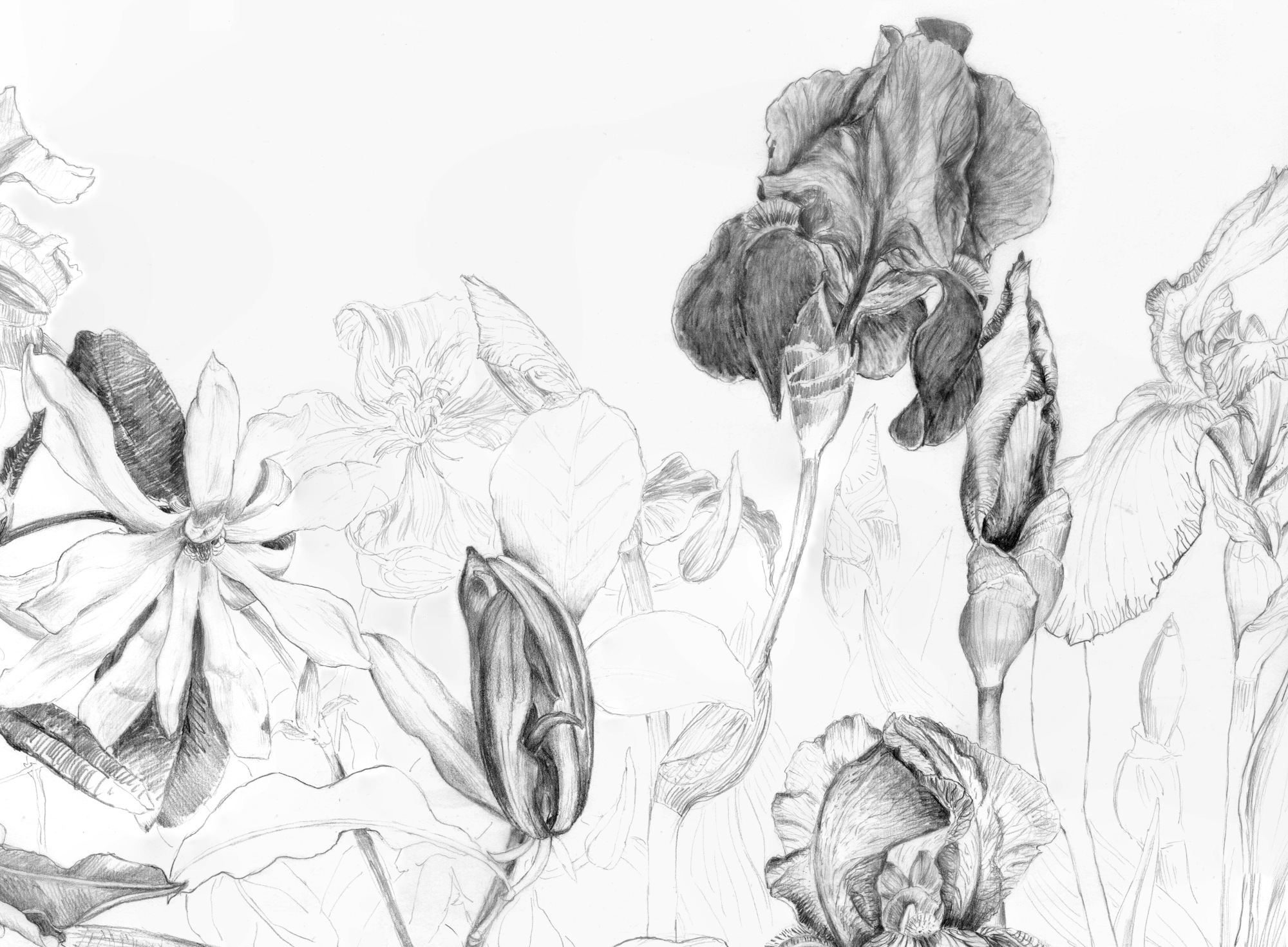 Spring flowers CROP 1.png