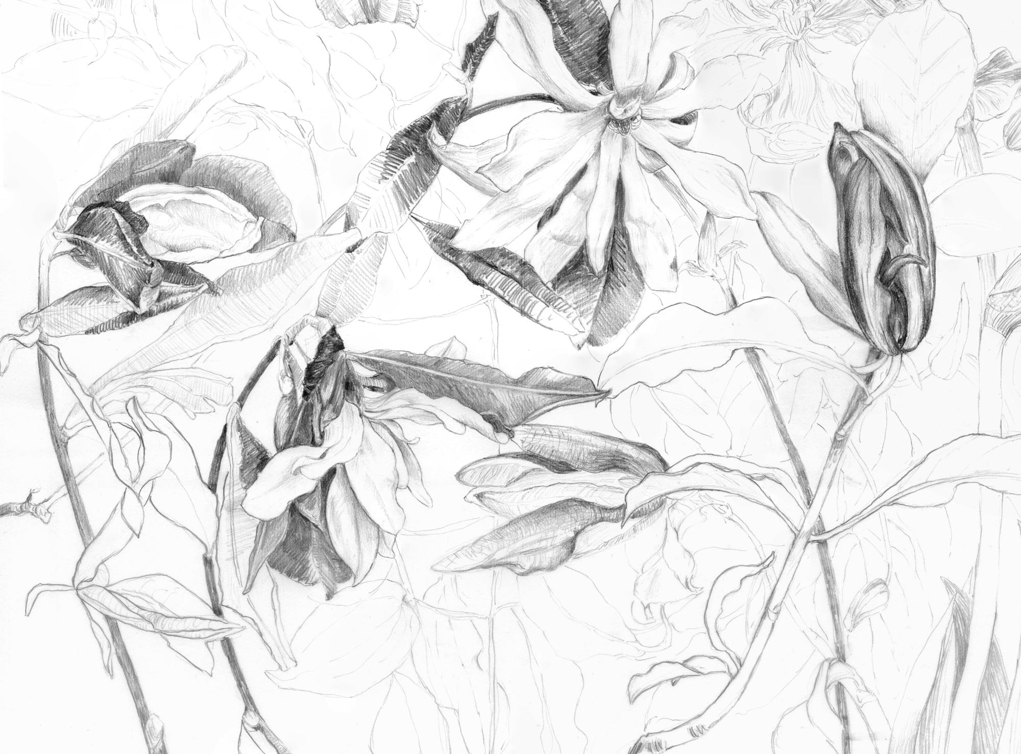 Spring flowers CROP 2.png