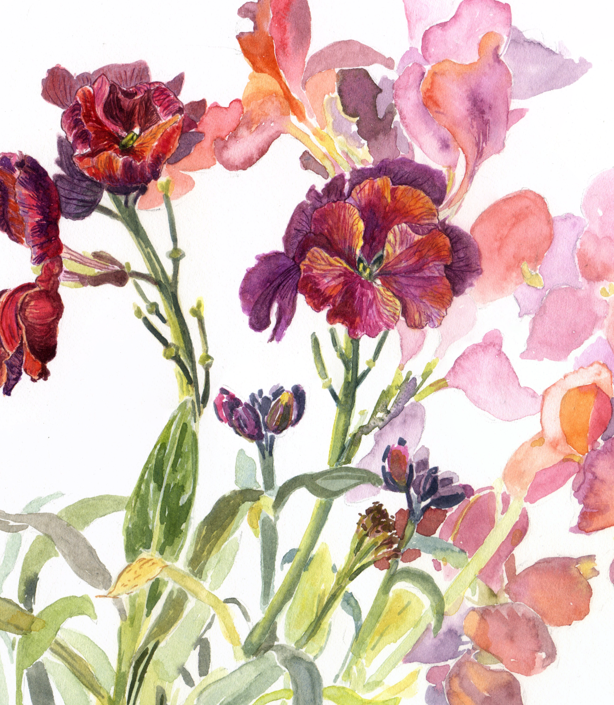 Swaying Wallflowers Web crop .png