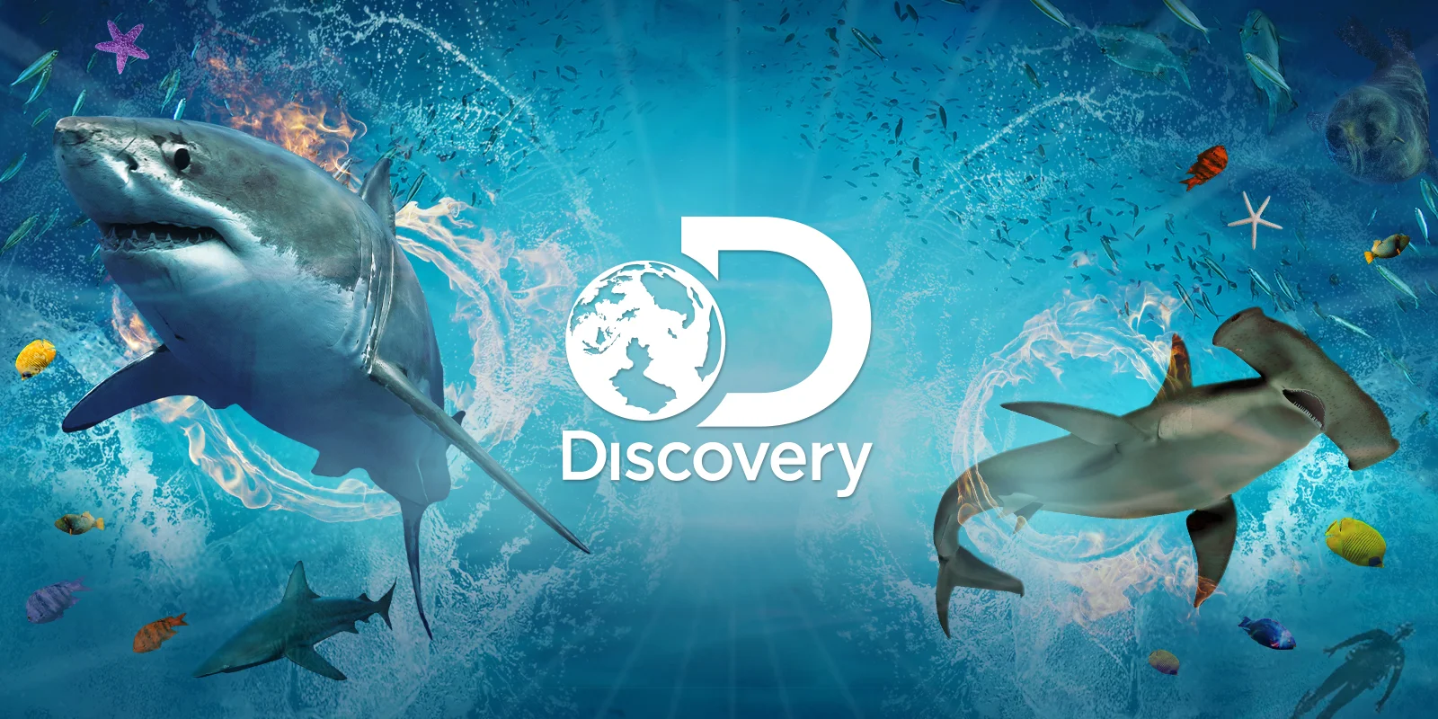 hh_web_work_disc_sharkweek_hero.jpg