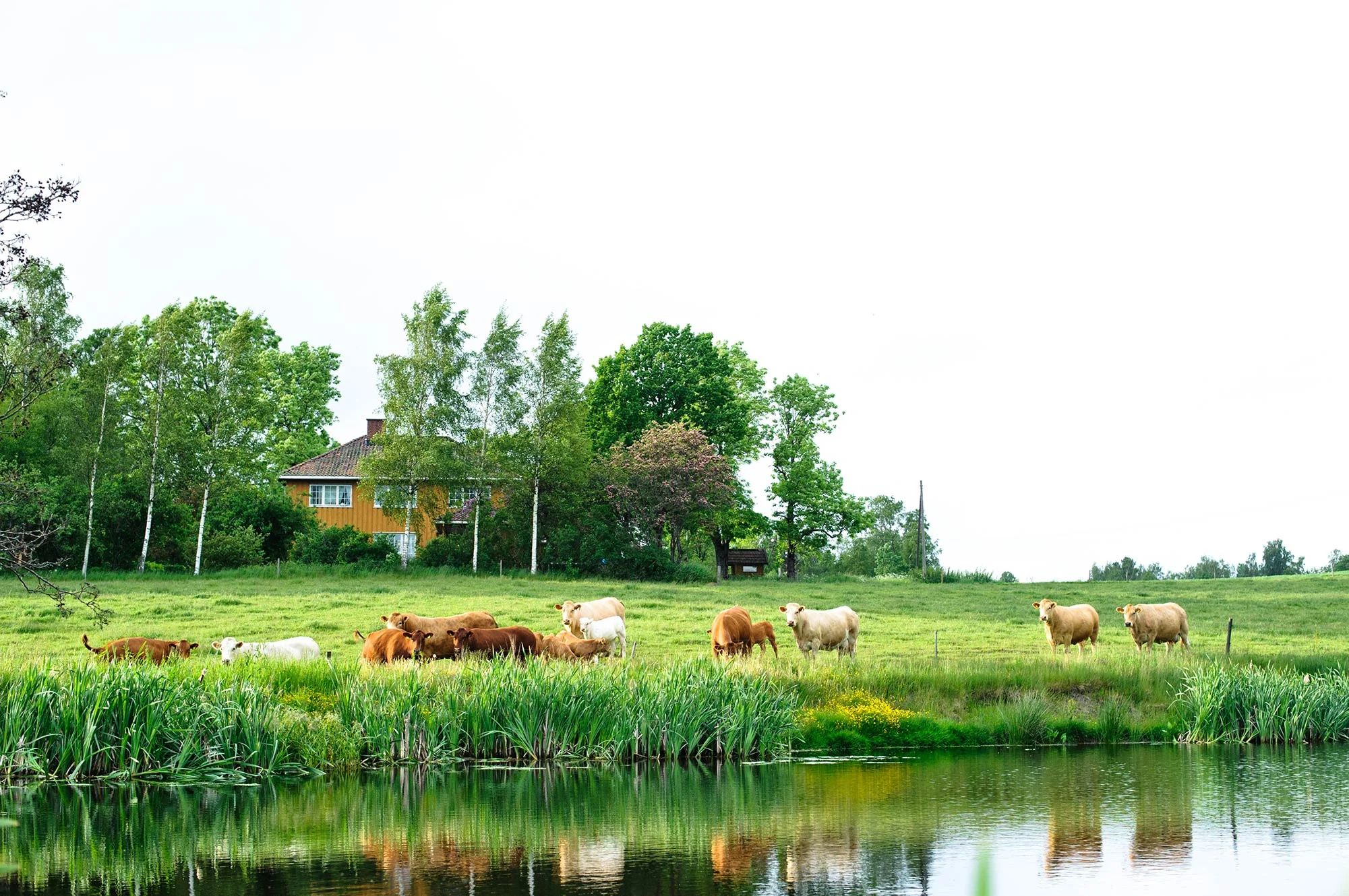 20120609_2846.jpg
