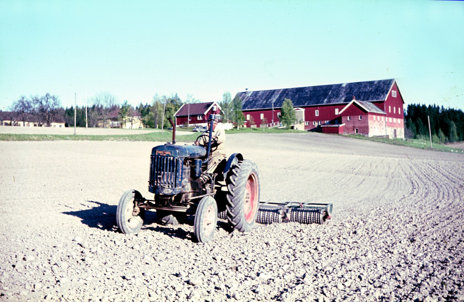  Adolf Bjørneby tromler med Fordson Stegamajor, 1947 modell. Dyster gård, våronna 1968. 