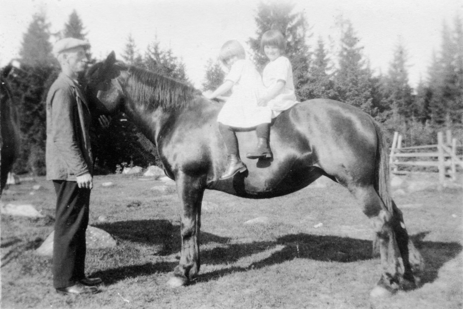  Fra venstre: Johan Aas, Nanna Aas, Alfhild Aas. På hestebeitet der Dysterlia ligger i dag. Dyster gård, 1924. (Krysset Liaveien/Parkveien). 