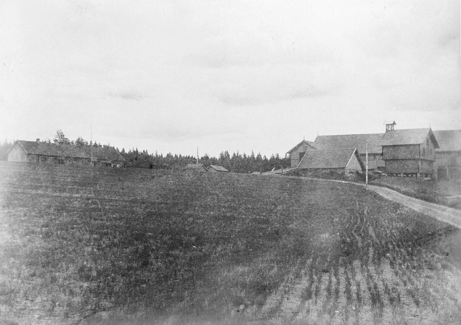  Dyster gård, 1901 