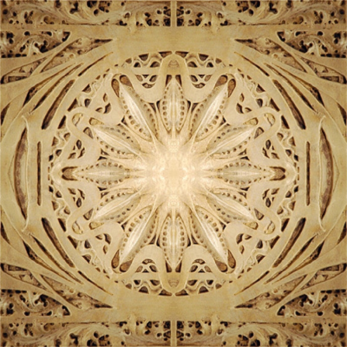 An ornamental panel, designed by Louis Sullivan for the Schiller Theater (later known as the Garrick Theater) in Chicago, which opened in 1901. Photograph courtesy of Modulightor.