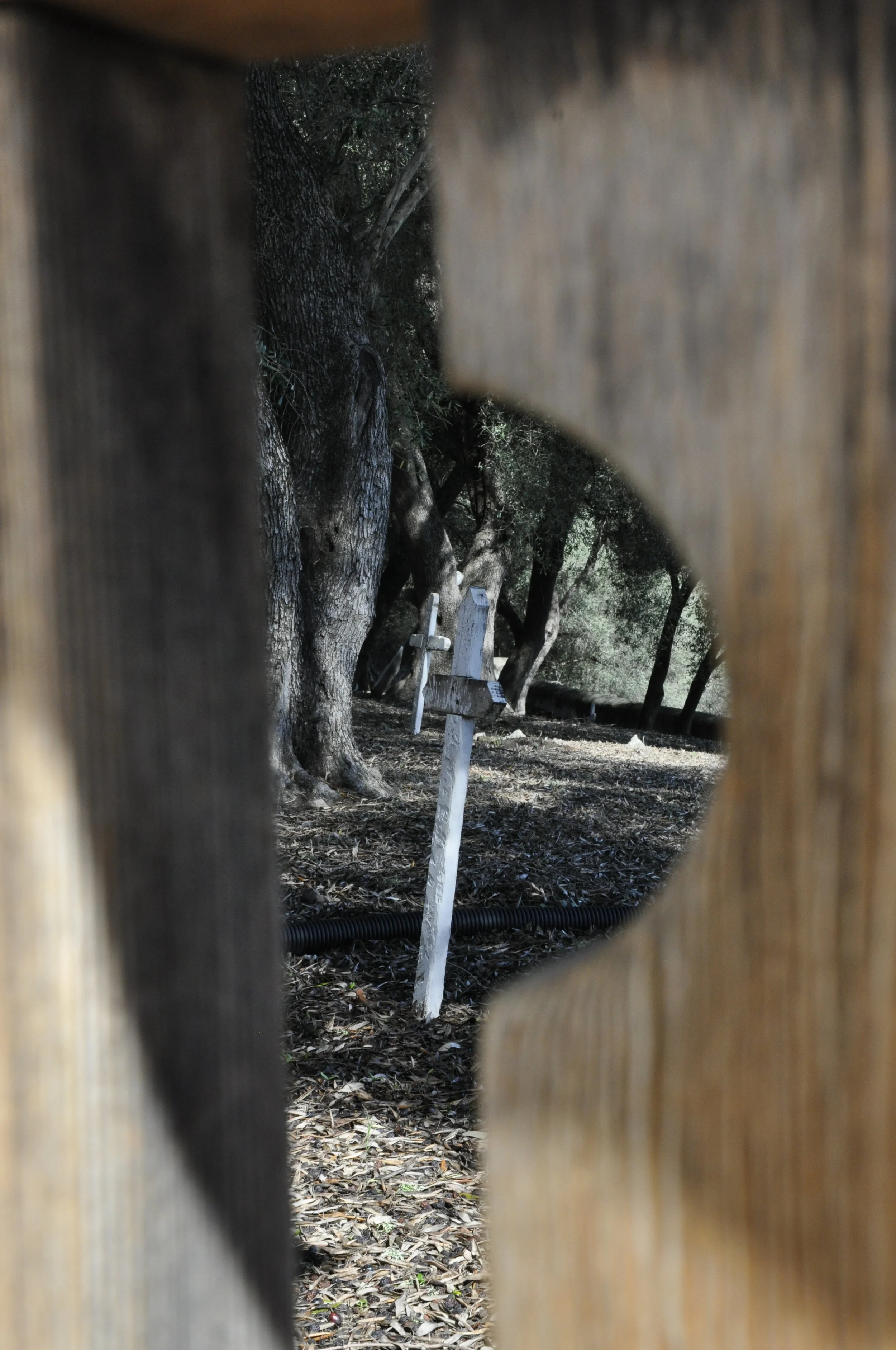 2018-03-25 10.41.05-1.jpg