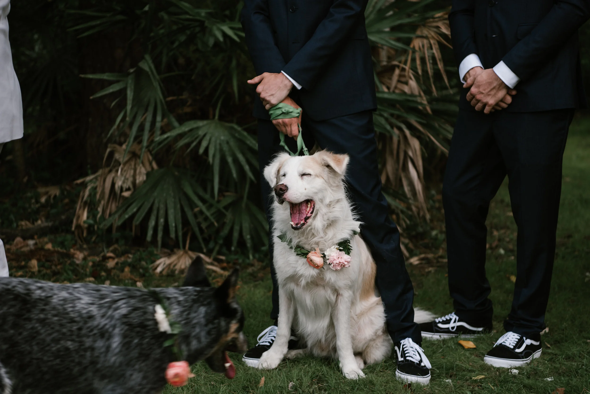 michelle-ronnie-backyard-wedding-516.jpg