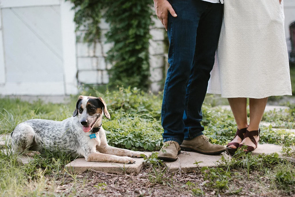 Gina-Robbie-In-Home-Engagement-St-Pete-41.jpg