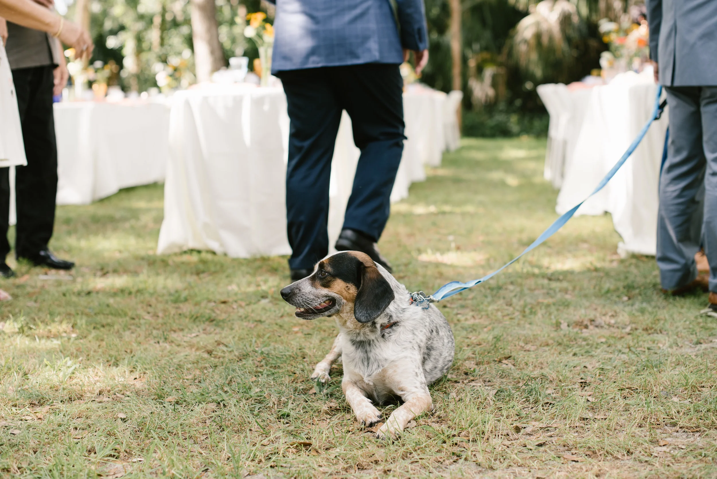 mclaughlin-wedding-369.jpg