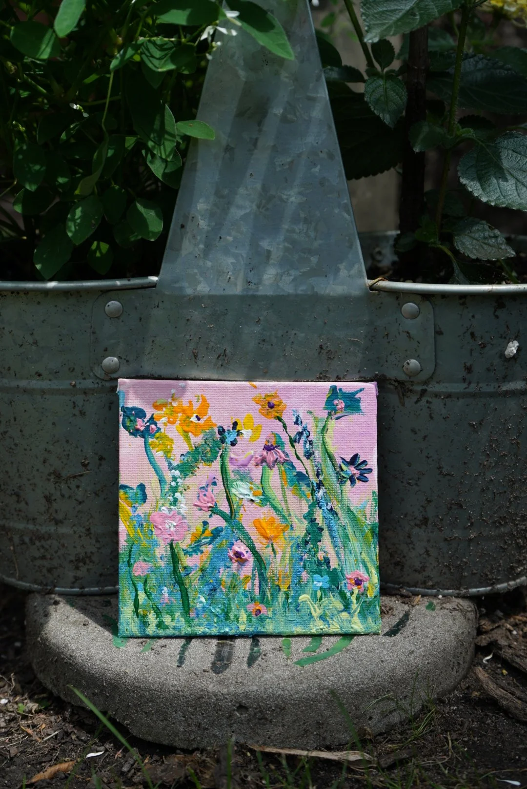 Petals and daydreams
