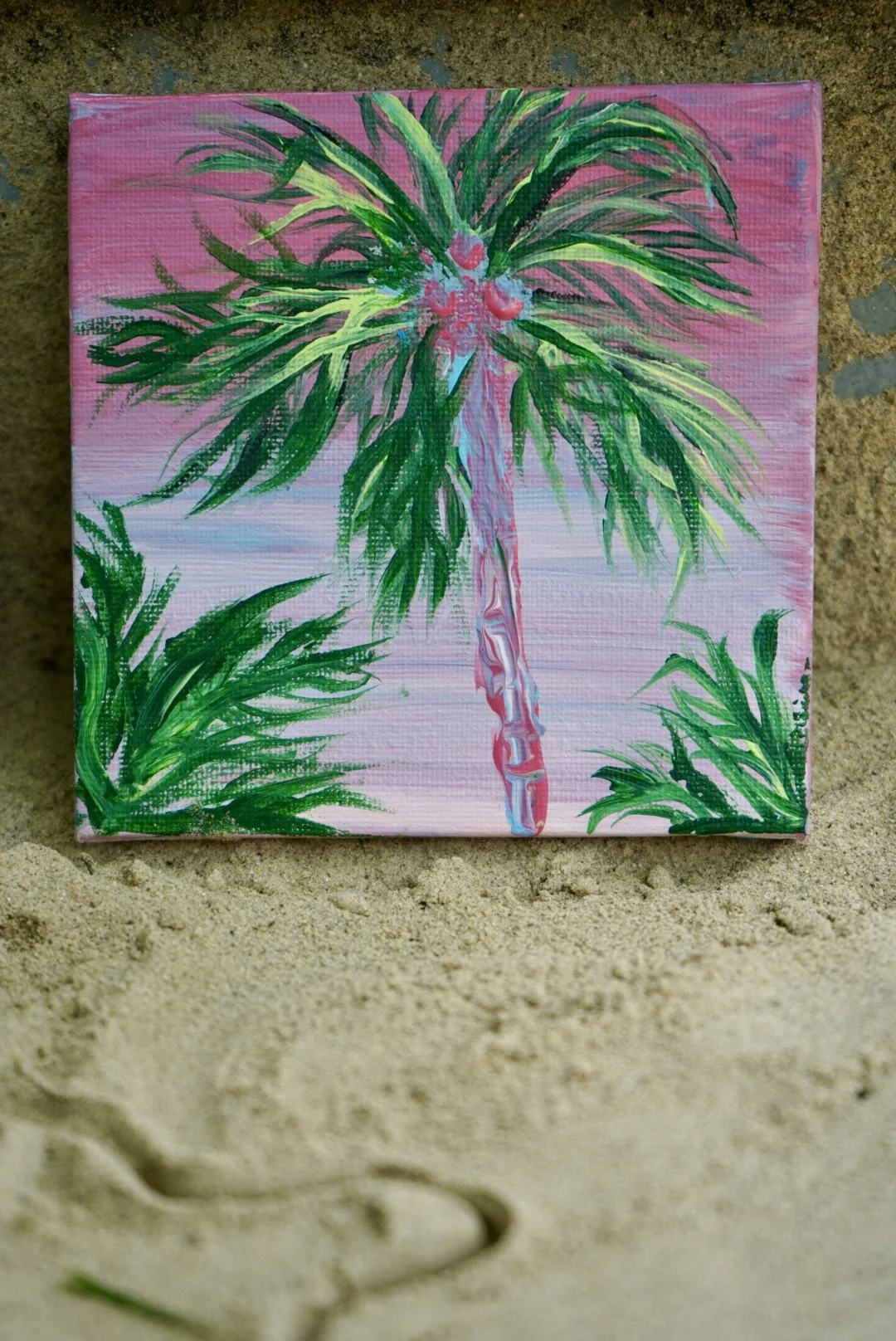 Palm Daydream