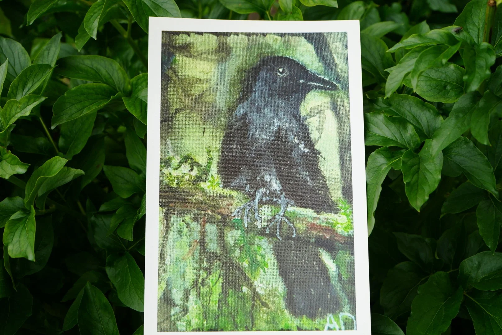 PRINT — Raven