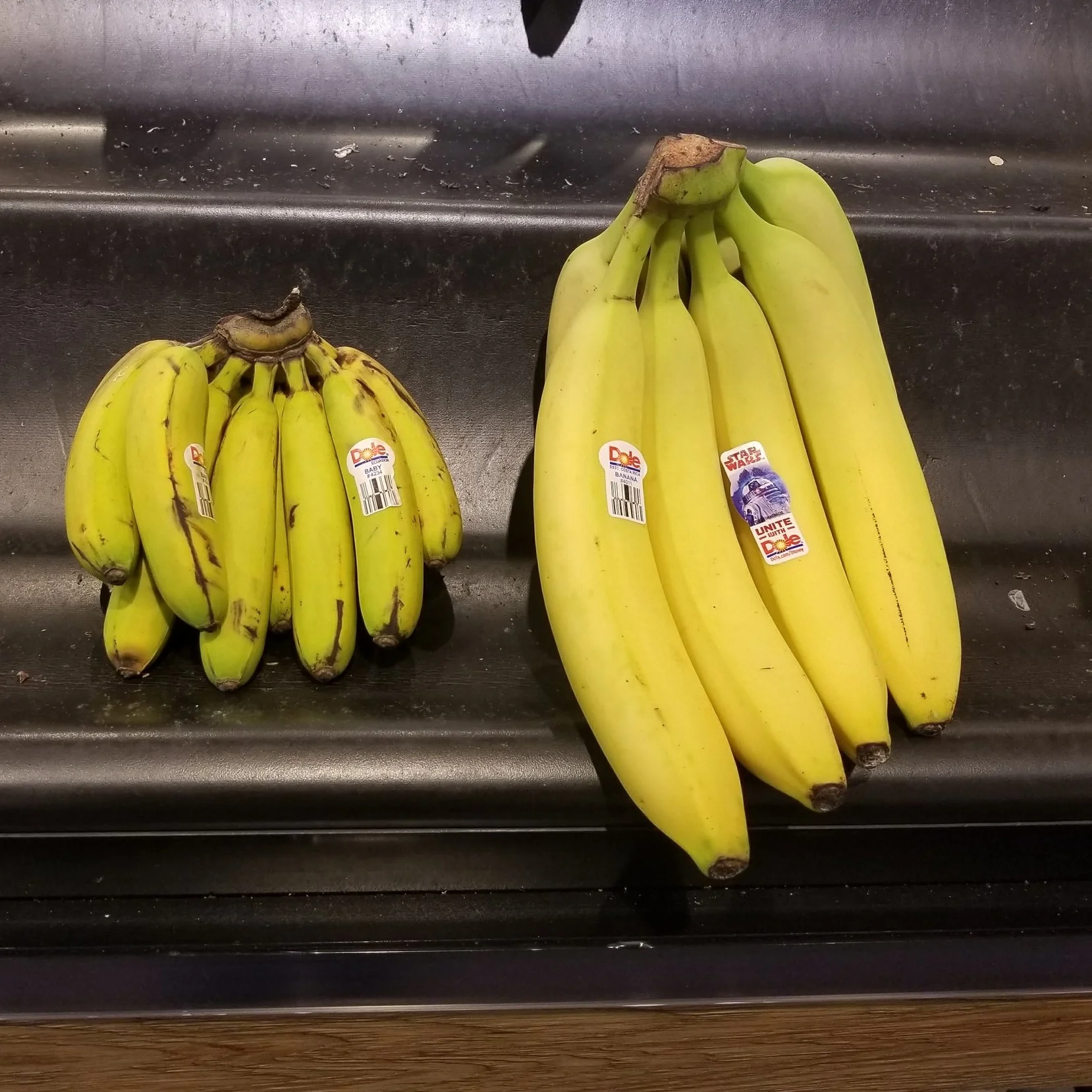 Negative Geotropism 