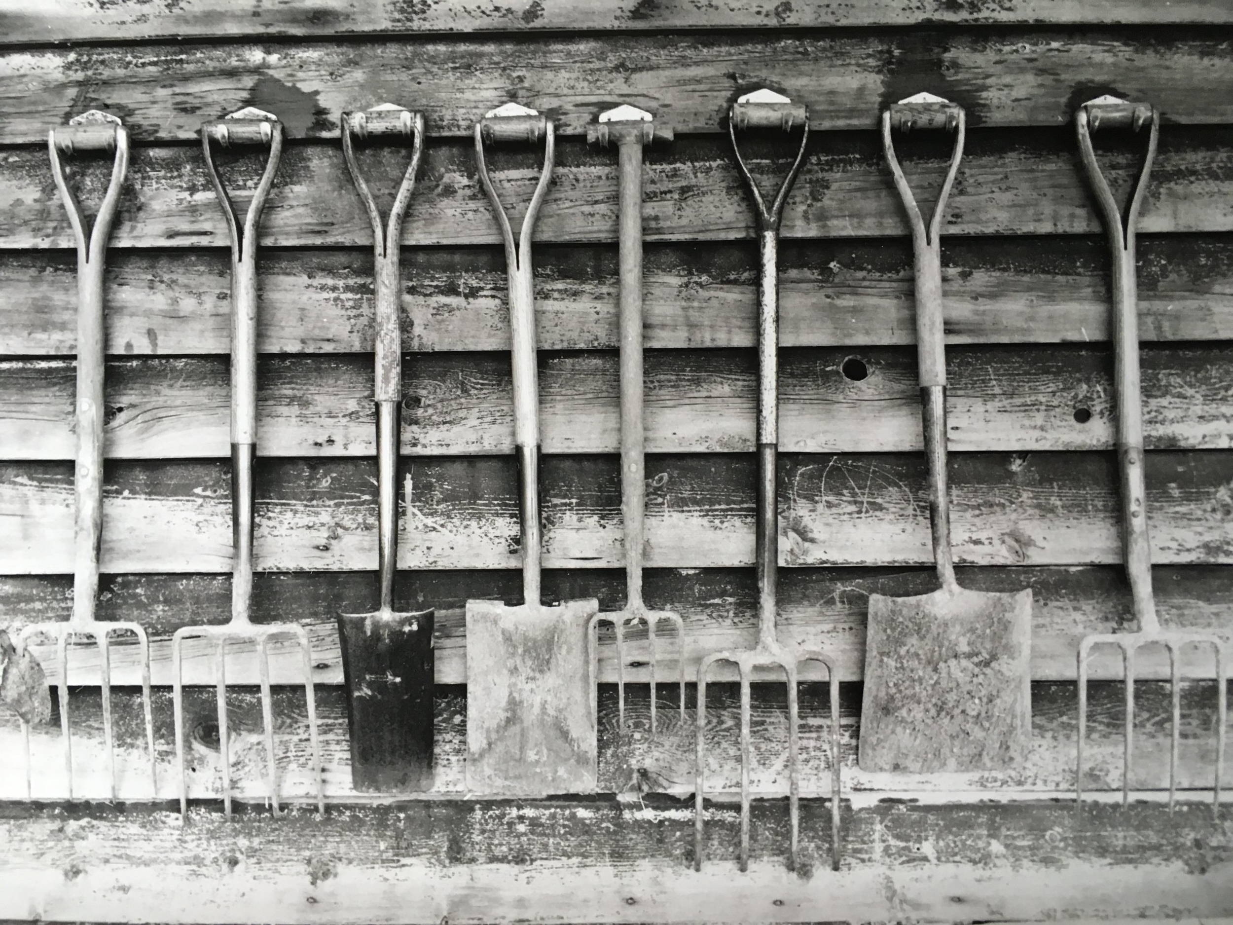 Spades and Forks (Copy)