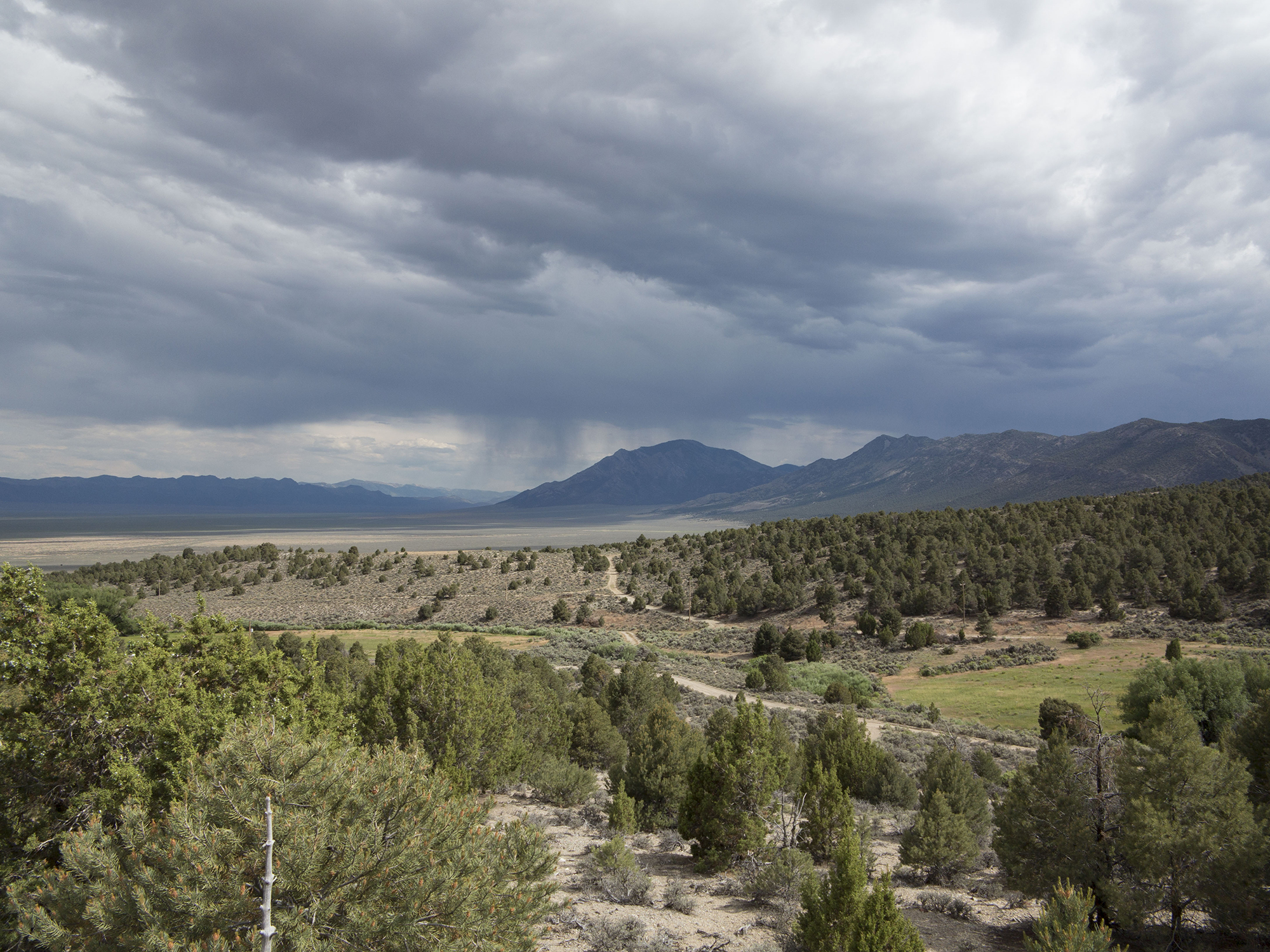 Telegraph Hill from Cherry Creek, Nevada 2015