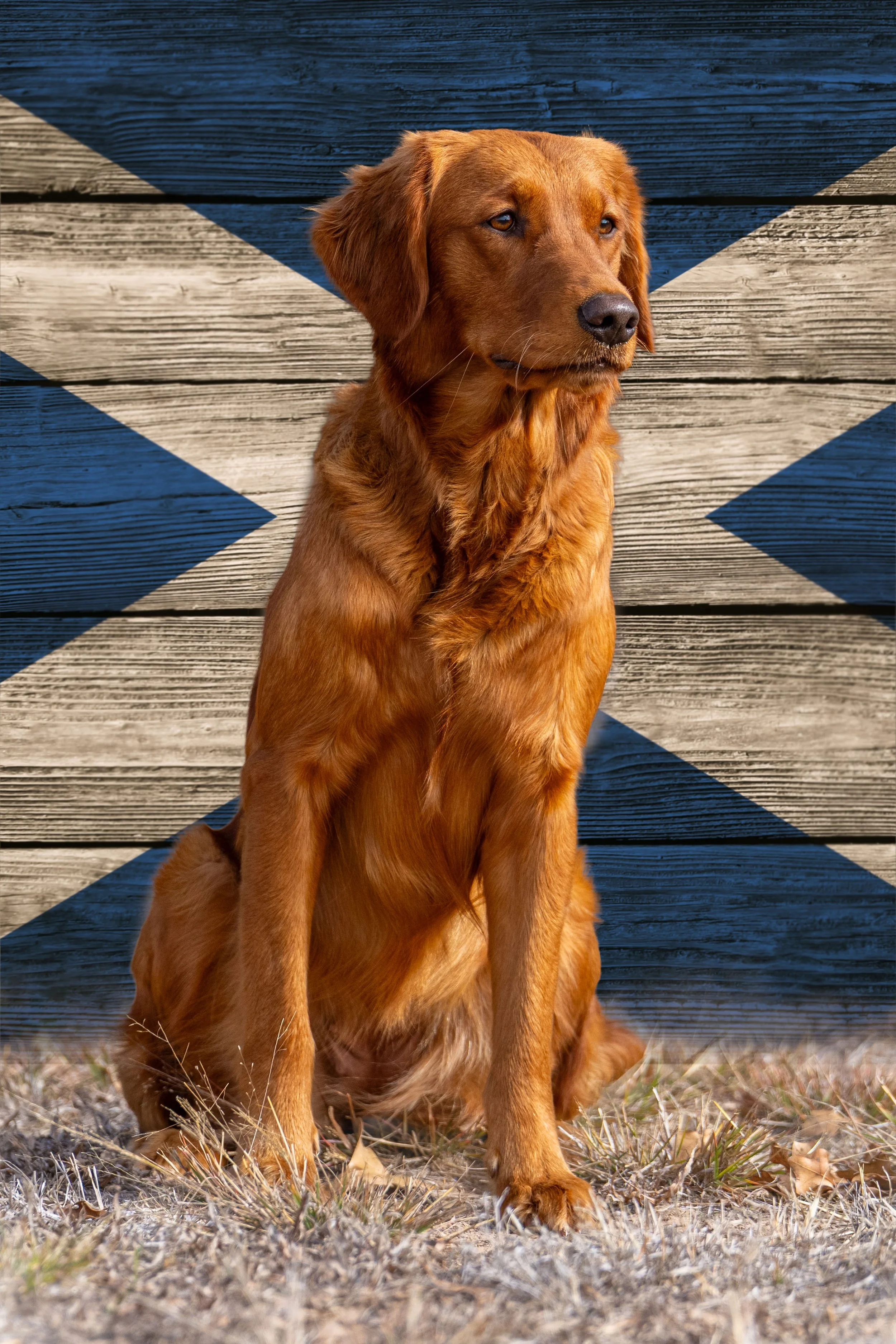 Bonnie scottish flag.jpg