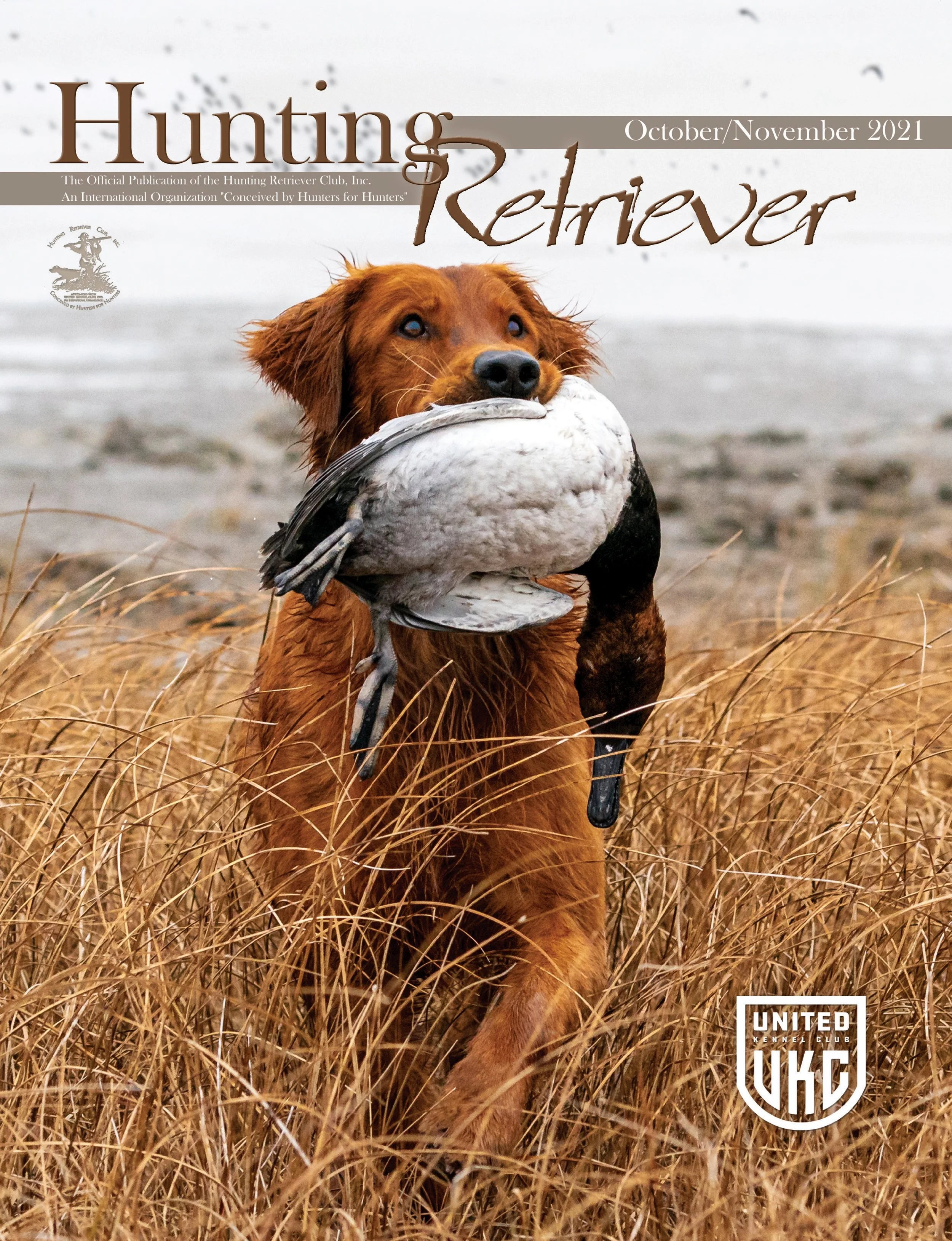 Covers/Ads — Resolute Goldens