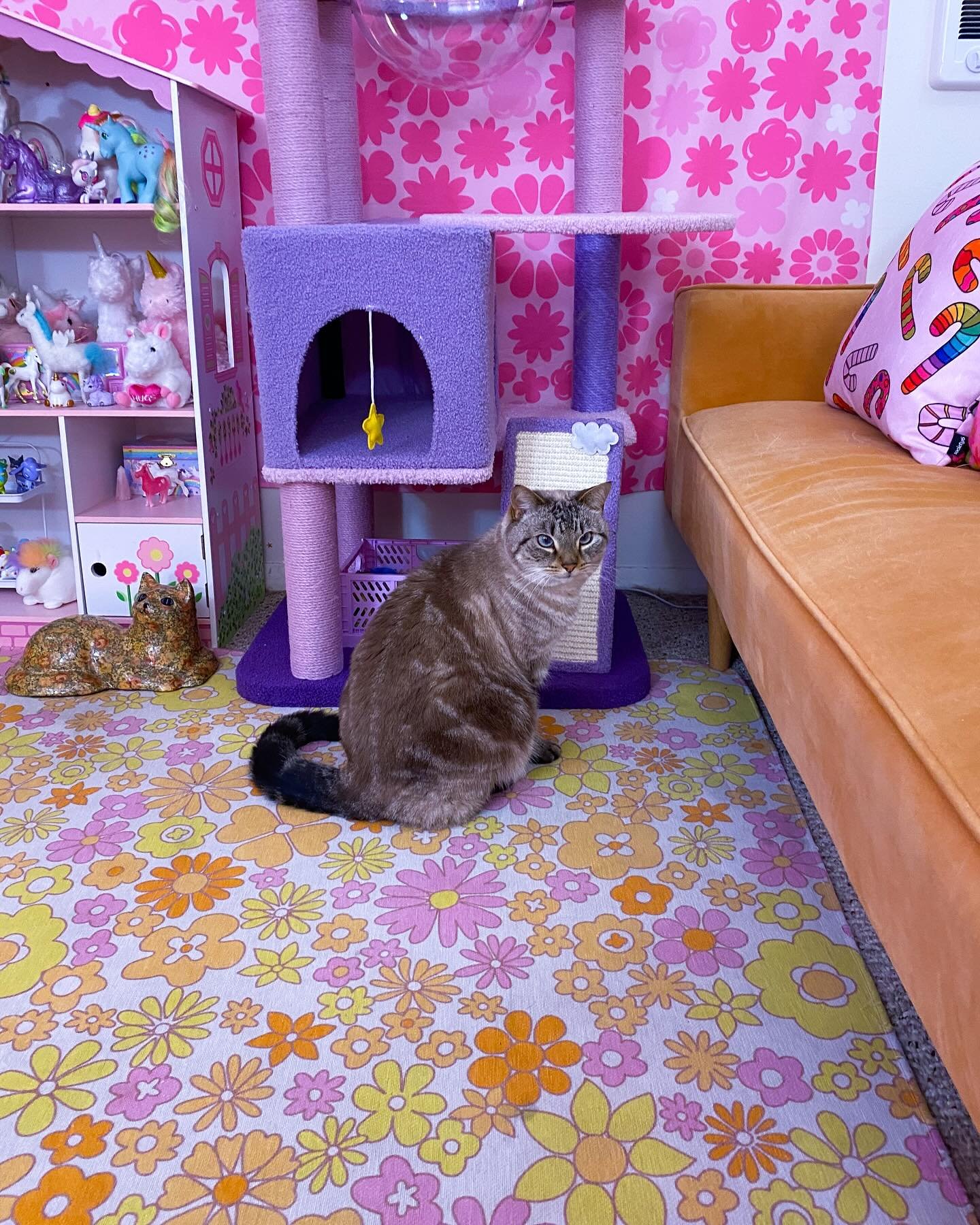 happy caturday 💕✨🐈&zwj;⬛ xoxo, cashew, boo, &amp; chickpea 

#catsofinstagram #catstagram #cutecats #catlover #caturday #catlife #catphotography #adoptdontshop #catperson #colorful #colorfulhome #colorfulhomedecor