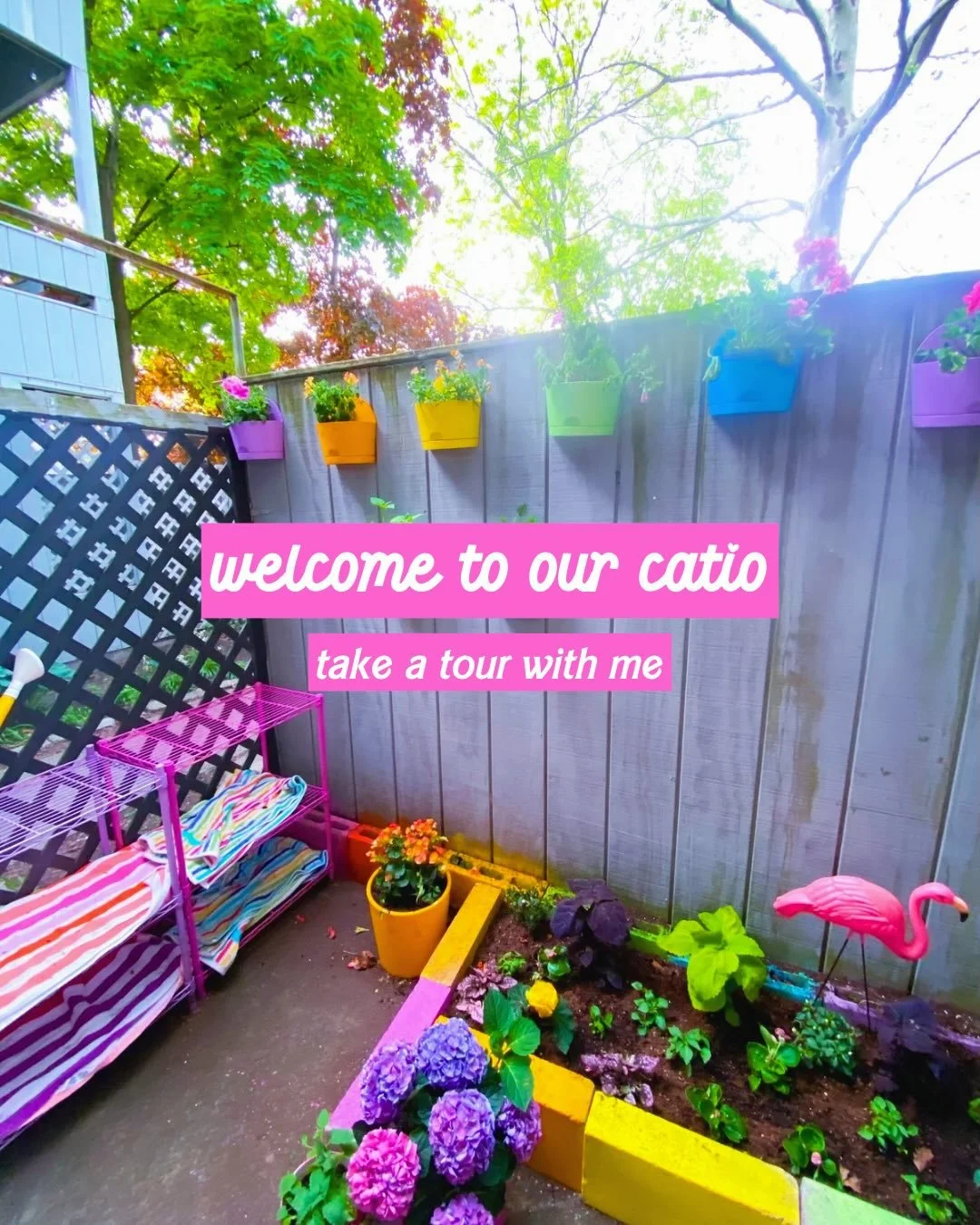 welcome to our catio ✨🐈&zwj;⬛🌸

it took three days of planting to get everything in the soil. this year, i decided to fence in the soil strip with cinder blocks (that caleb of @ithacamurals) graciously spray painted for me in exchange for some styl