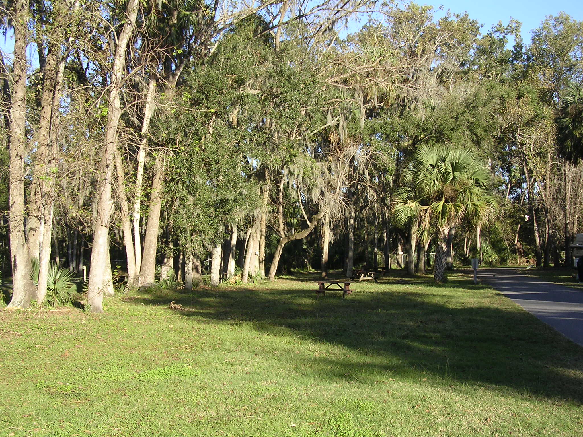 Sites 157-160 looking east