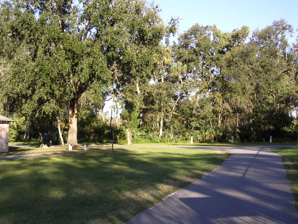 Area between Pavilion & pool