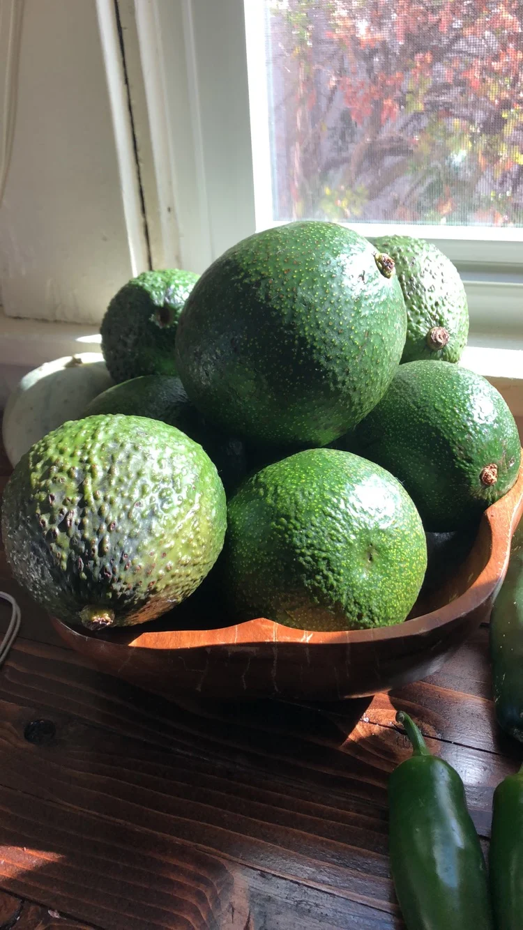 Not just any Avocado Toast — The Real Food Collaborative