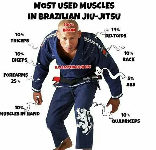 5815e995fde38baf7d8b6cec53f9edda--core-muscles-brazilian-jiu-jitsu.jpg