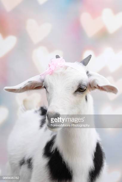 Photo by ForeverMoore Photography/iStock / Getty Images