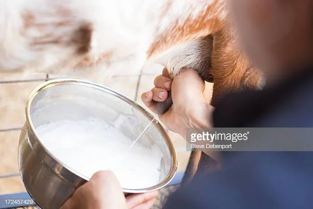 Photo by Steve Debenport/iStock / Getty Images