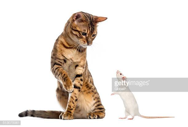 Photo by GlobalP/iStock / Getty Images